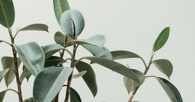 Life Transitions & Personal Growth